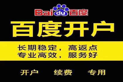 企业推广秘籍：百度竞价代理成功案例分析